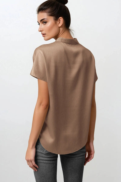 Blusa café V