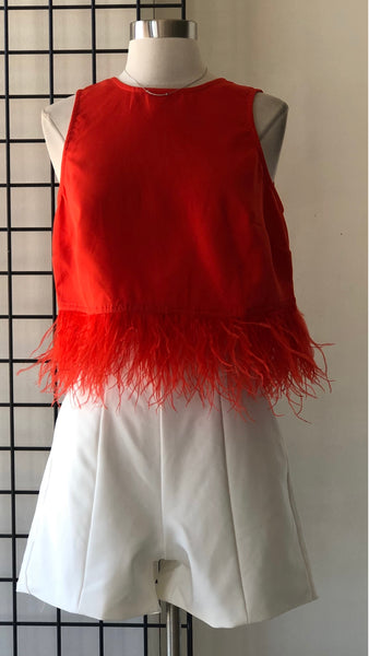 Blusa roja plumas